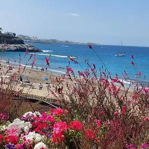 https://apartment-las-terrazas-favorite-place-costa-adeje.tenerifehoteles.net